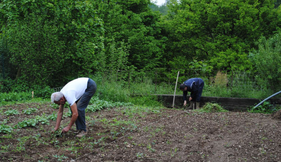 Progetti territoriali - Cooperativa Il Fiore