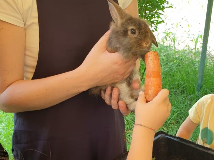 I nostri animali